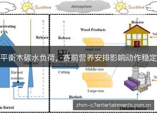 平衡木碳水负荷,赛前营养安排影响动作稳定 平衡木碳水负荷,赛前营养安排影响动作稳定